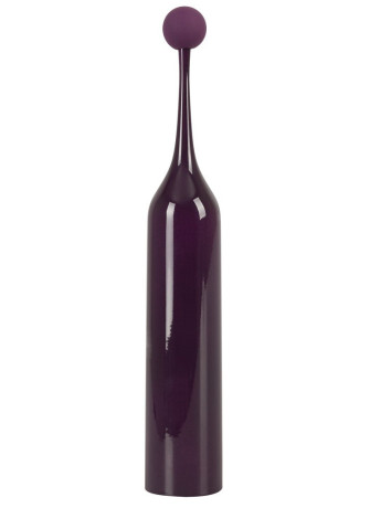 Spot Vibrator with 2 tips